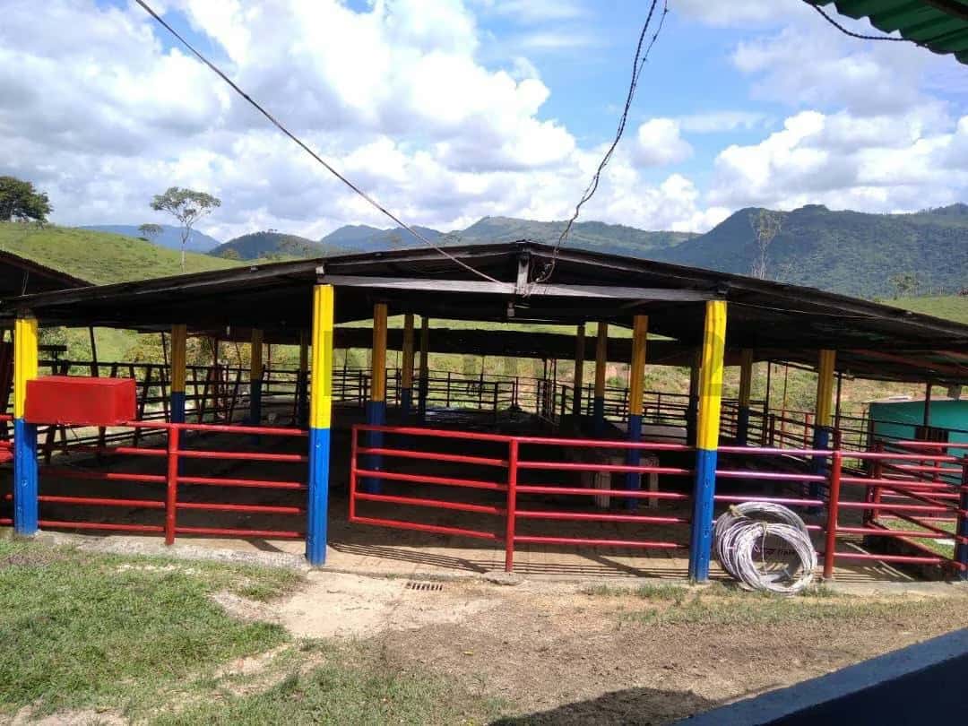 Vista 7