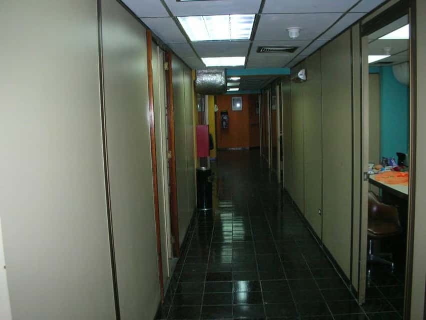 Vista 14