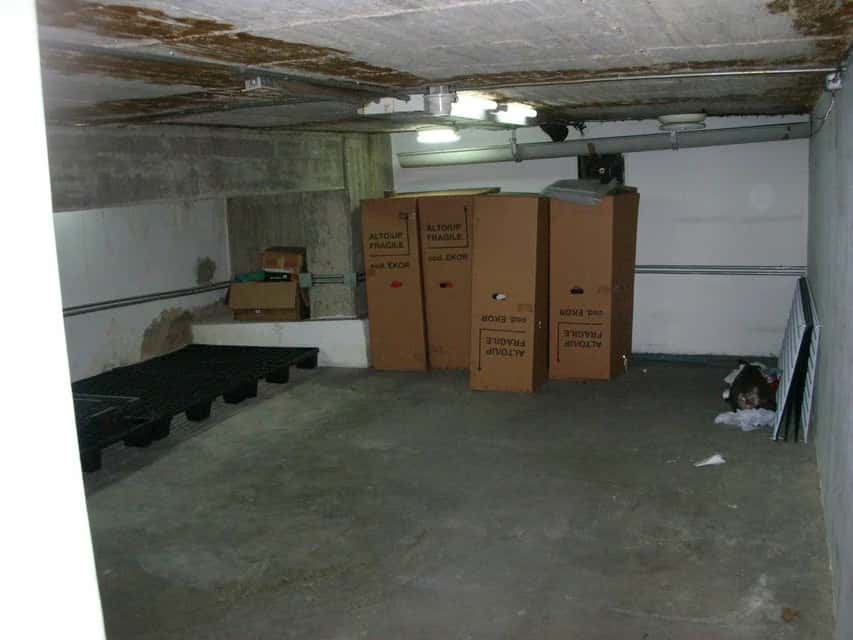 Vista 20