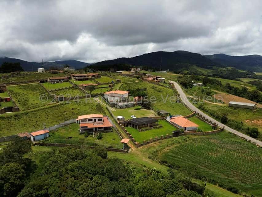 View 23
