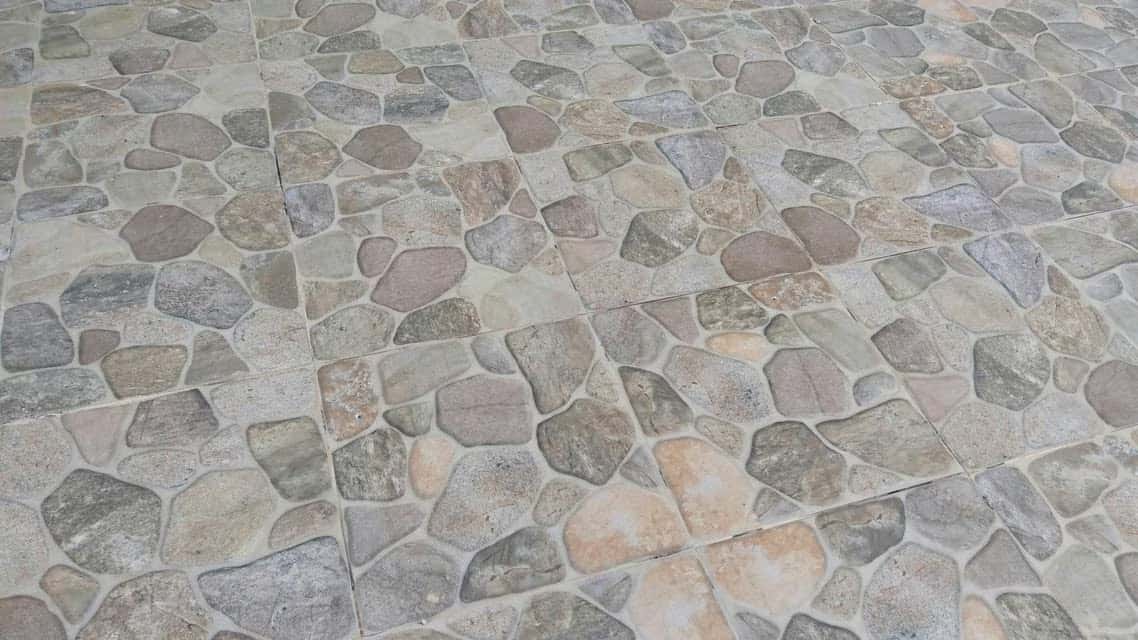 View 21