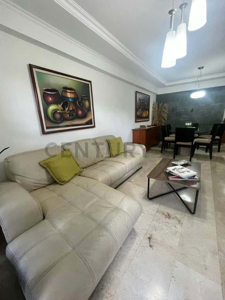 Vista 6