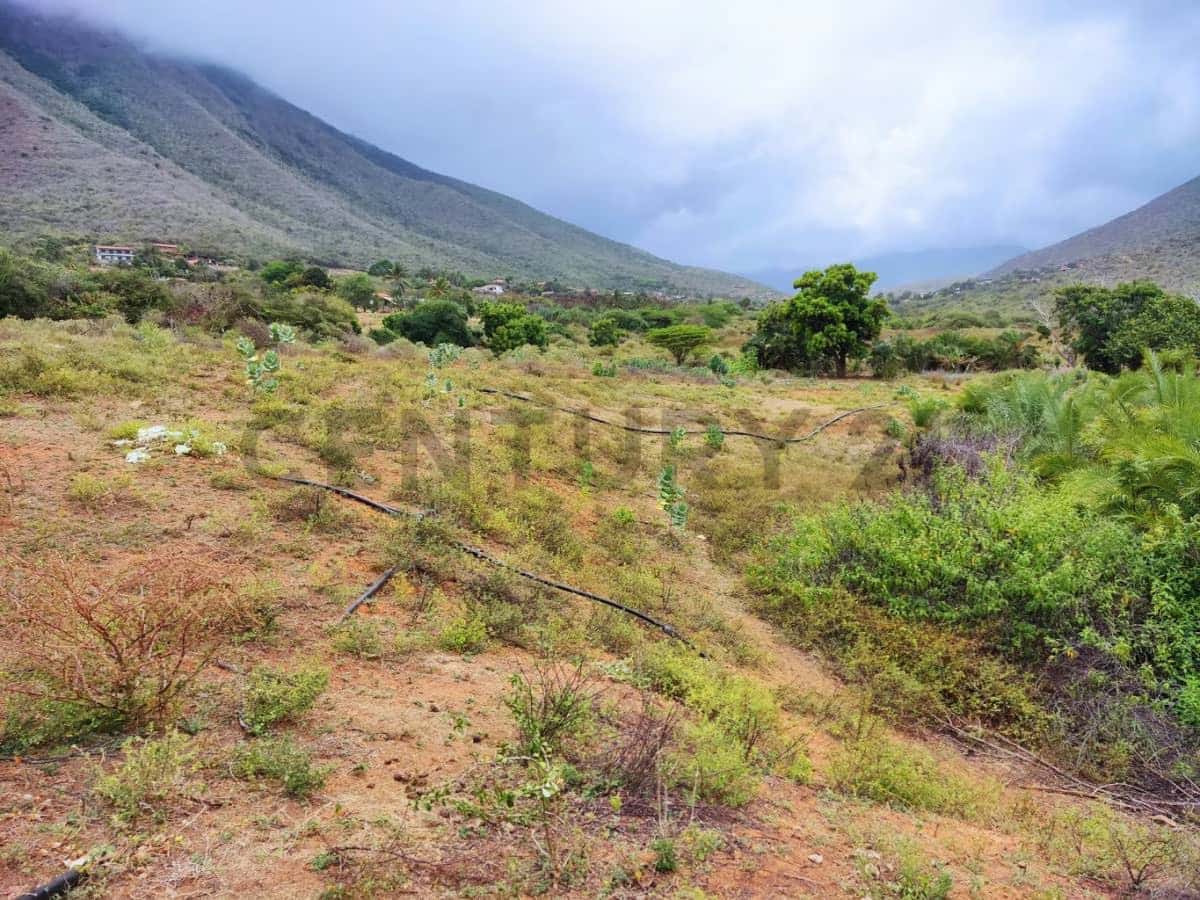 Vista 1