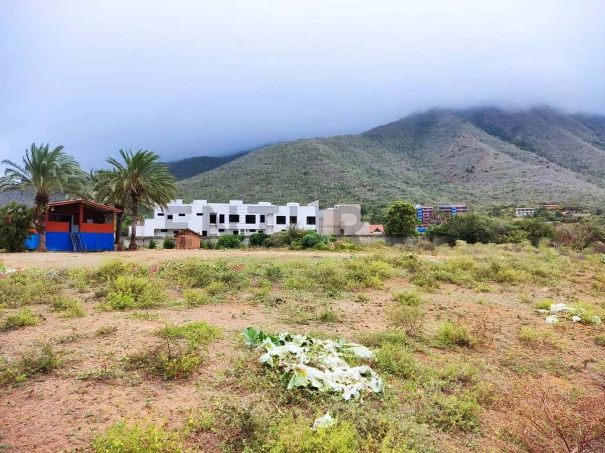 Vista 2