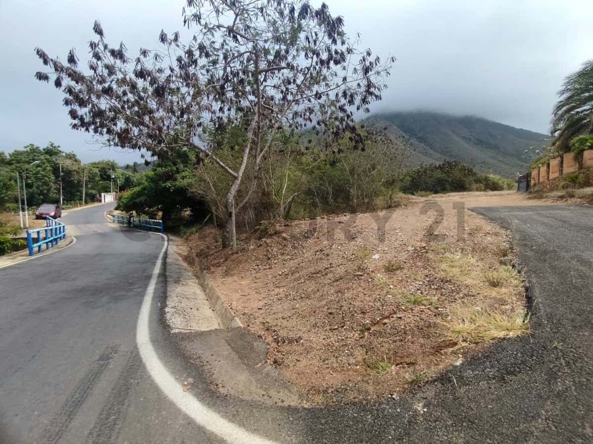 Vista 13