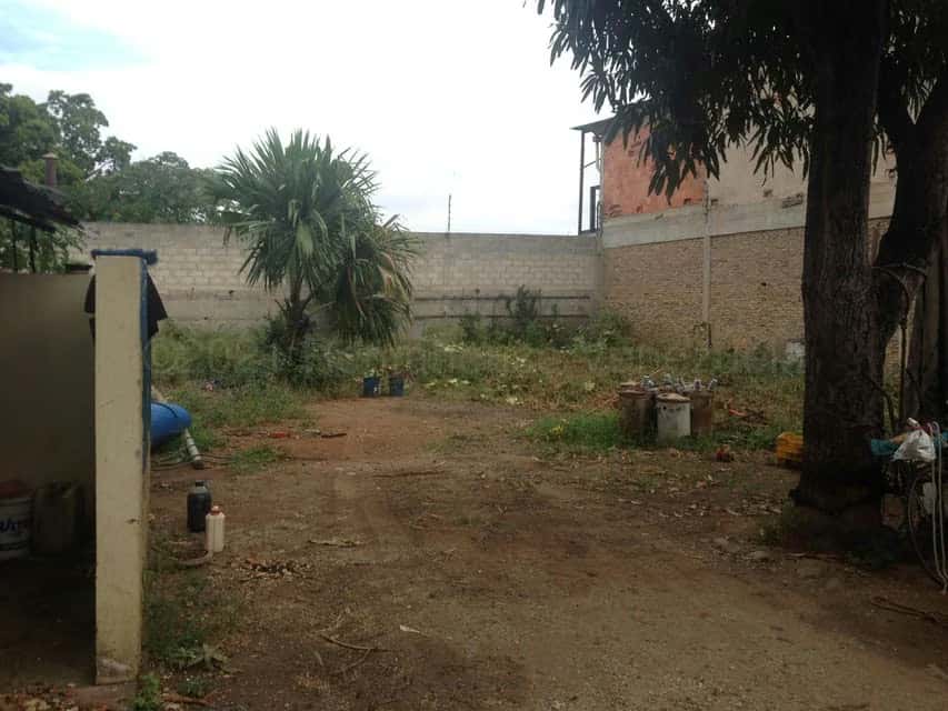View 21