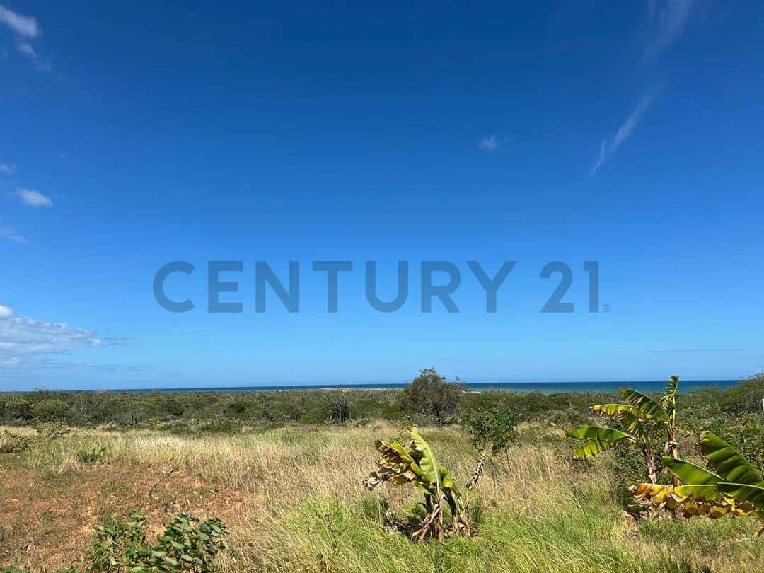 Vista 2