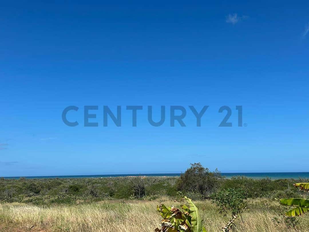 Vista 3