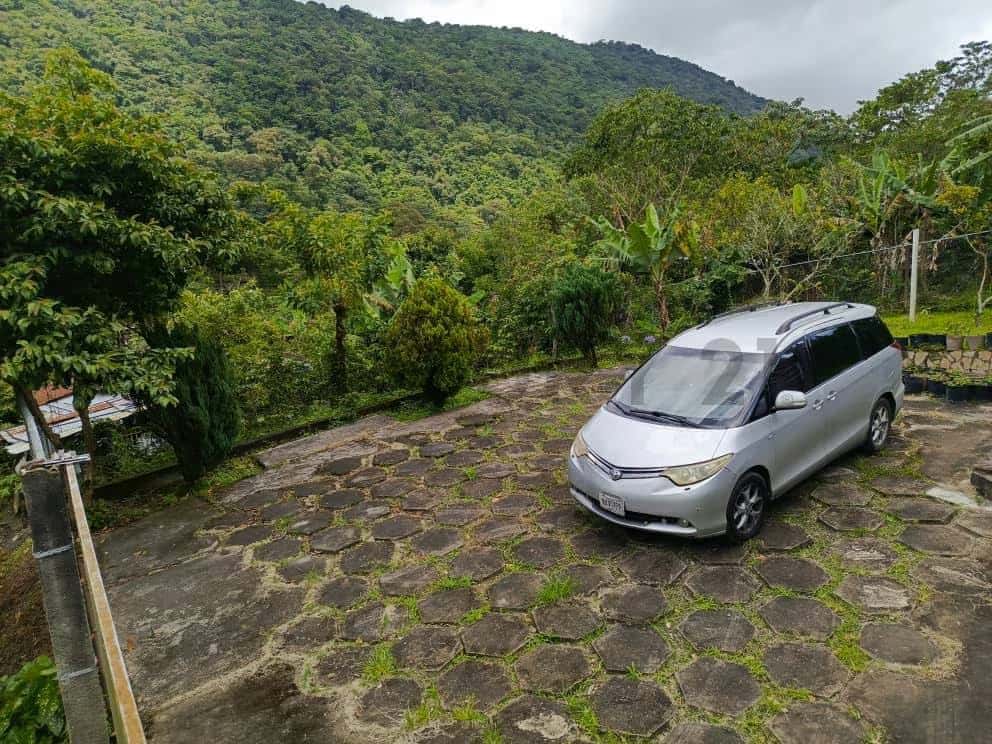 View 12