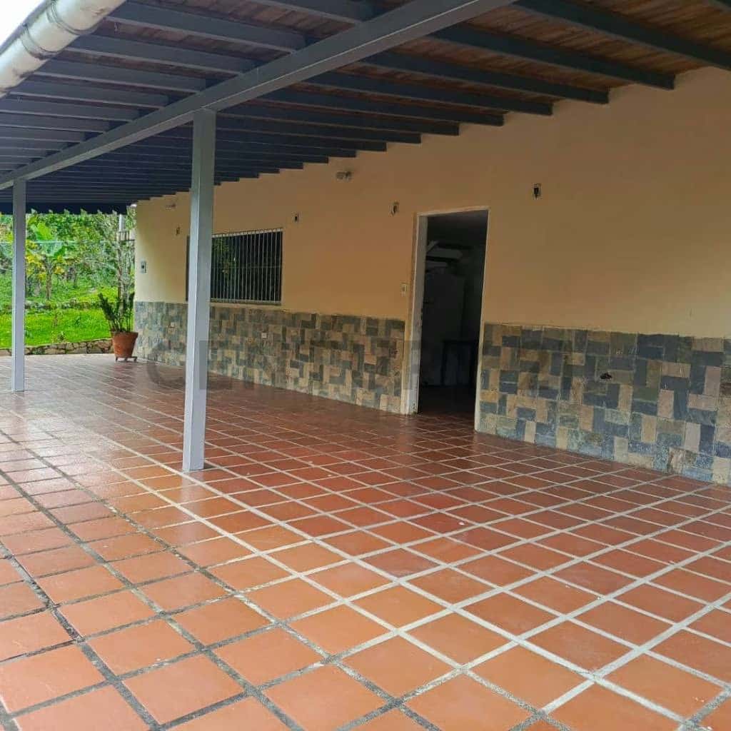 View 14