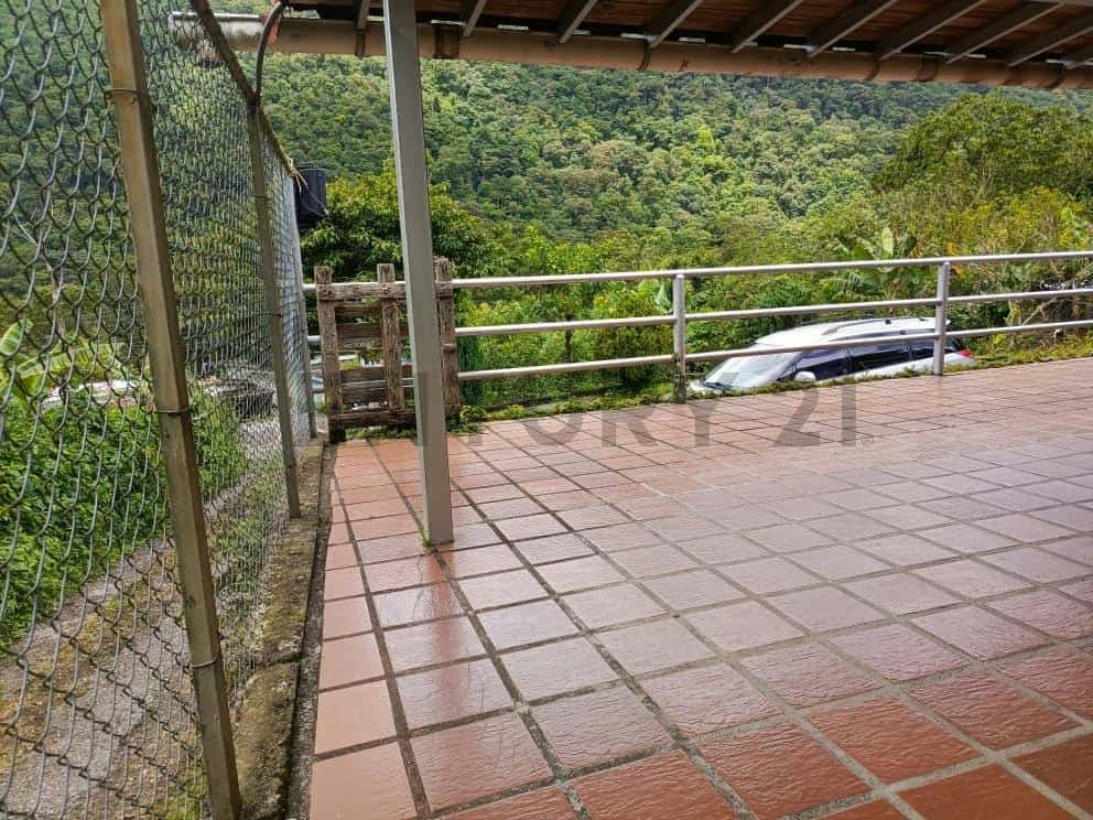 View 16