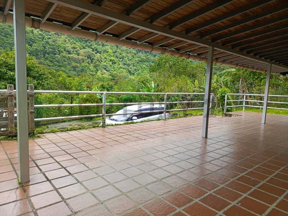 View 17