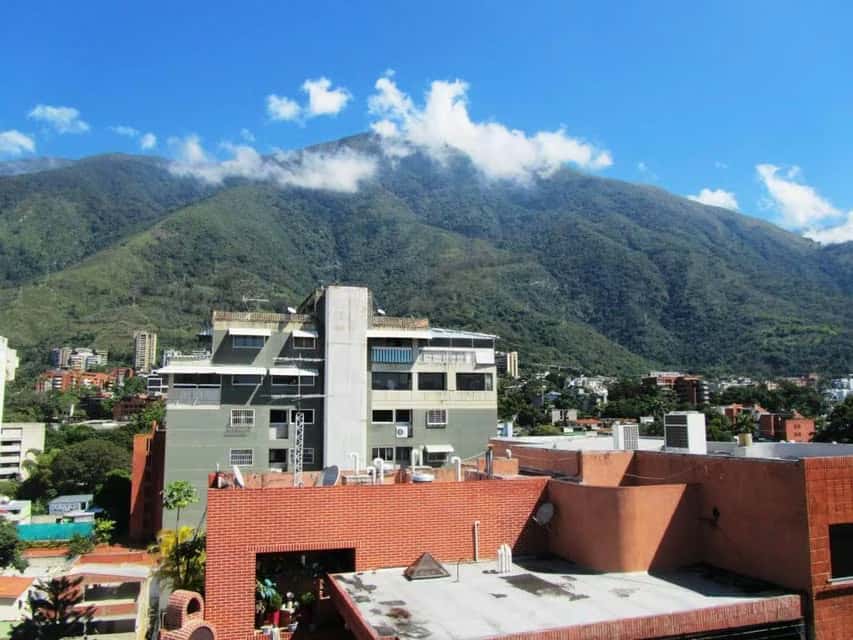 View 14