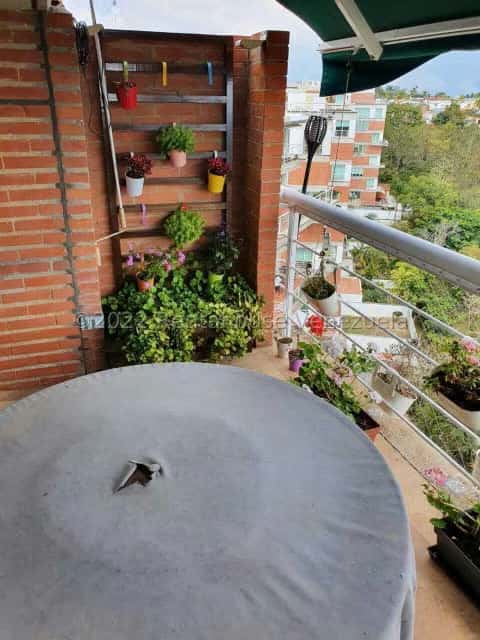 Vista 12