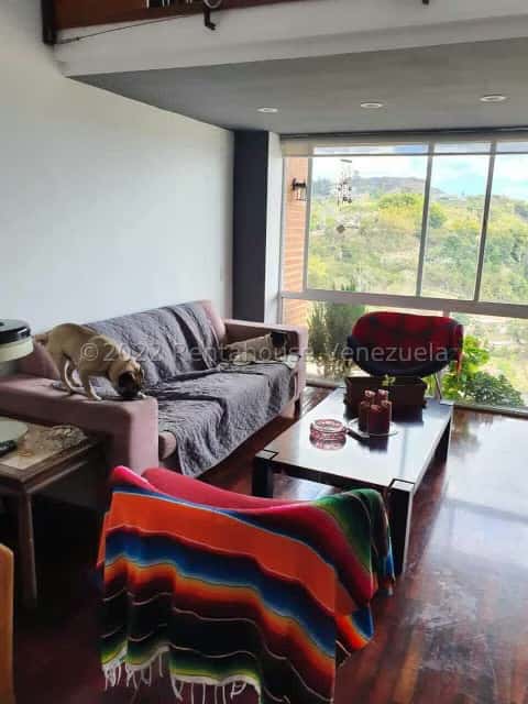 Vista 6