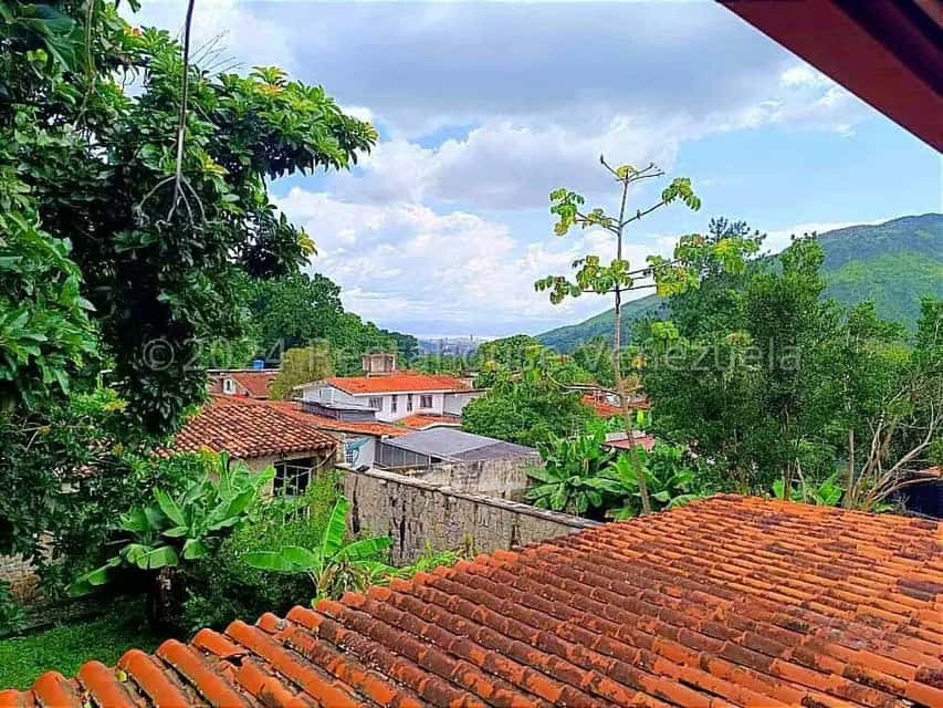 View 25