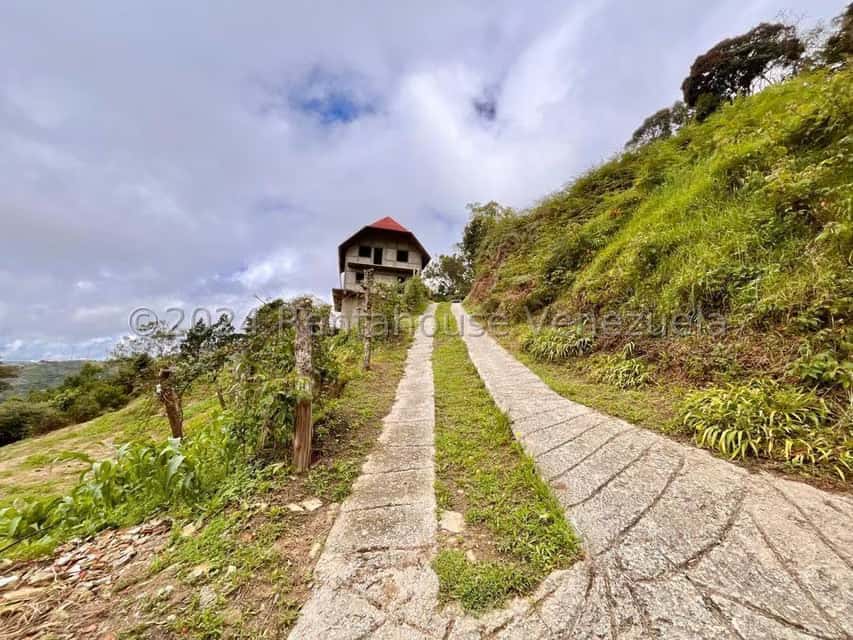 View 7