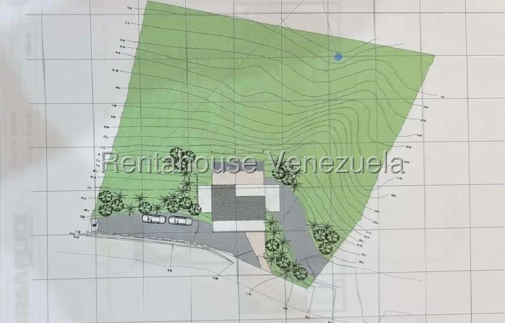 Vista 1