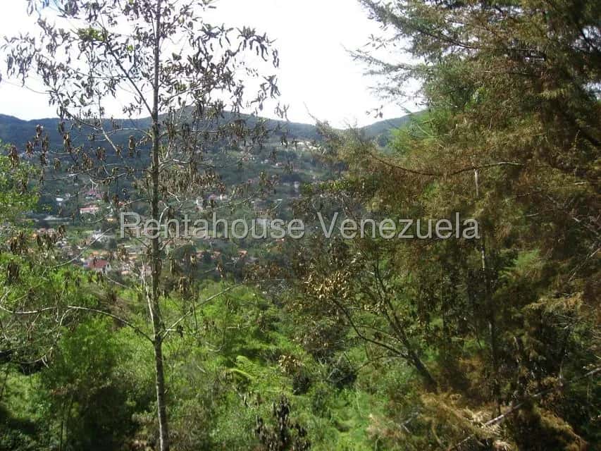 Vista 9