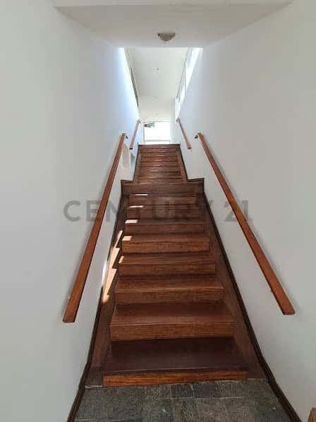 Vista 3