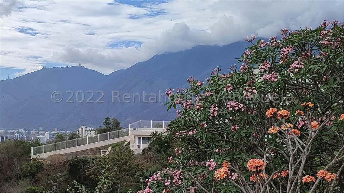Vista 24