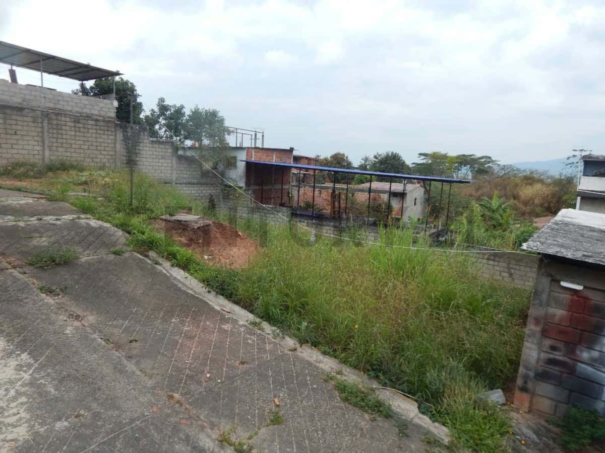 View 1