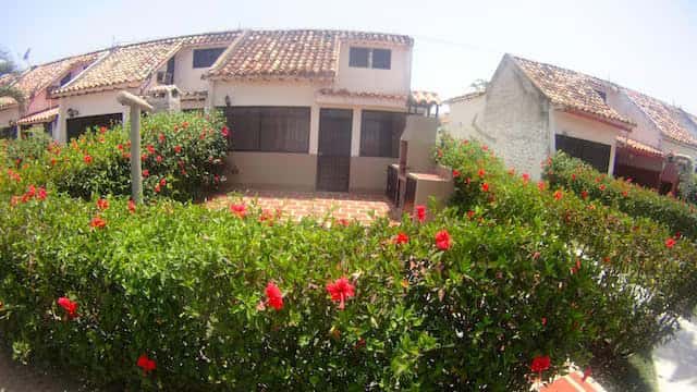 View 15