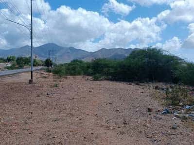 View 8