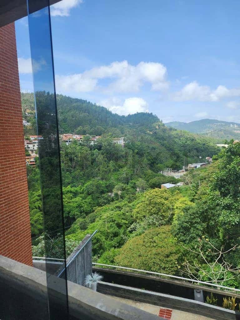 Vista 13