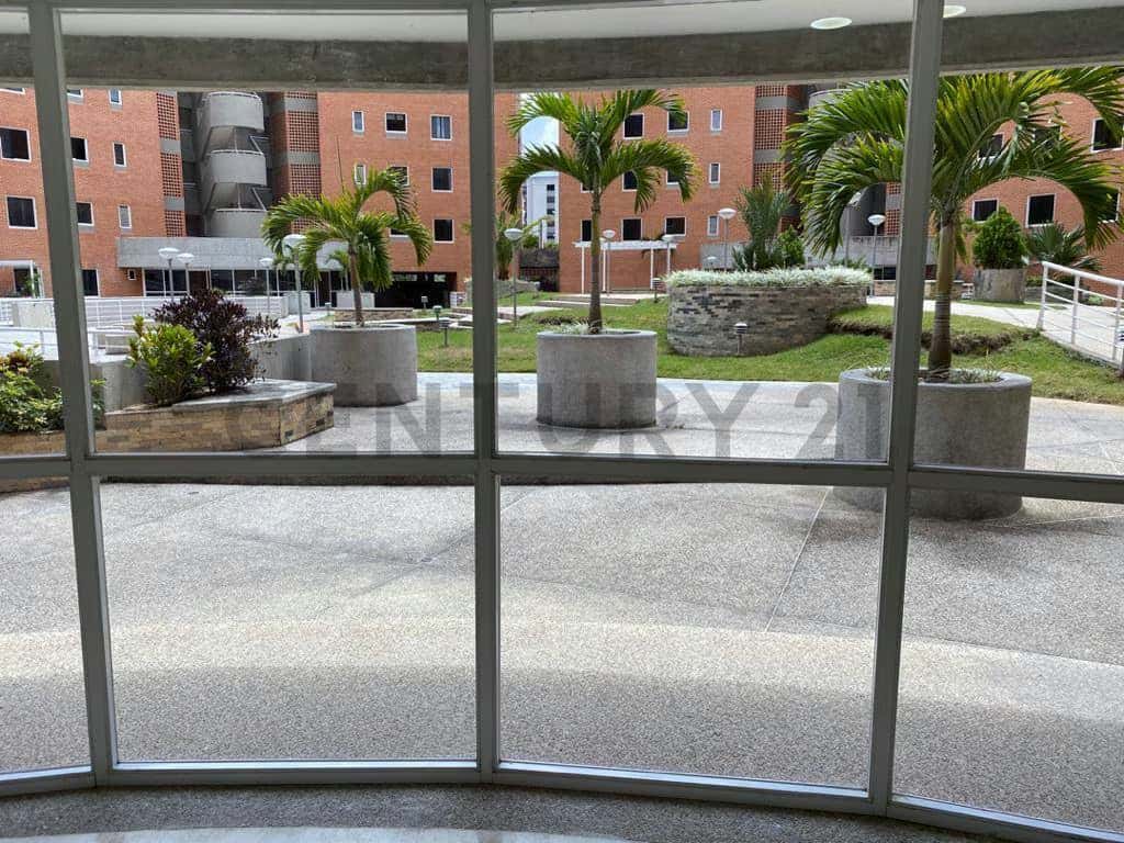 Vista 3