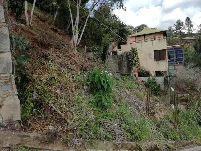 View 12