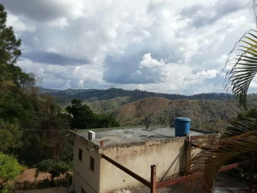 View 4