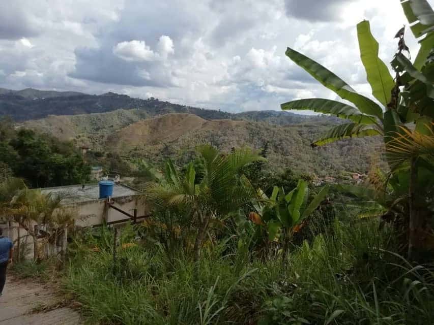 View 8