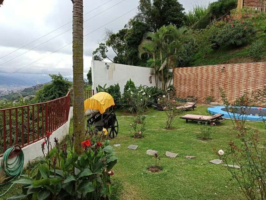 View 11