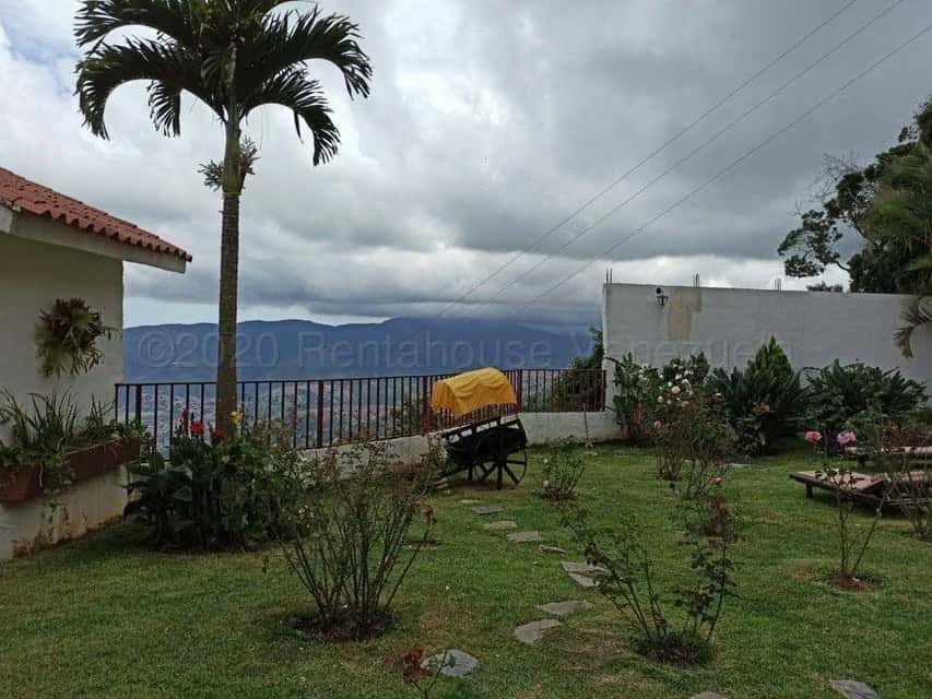 View 14