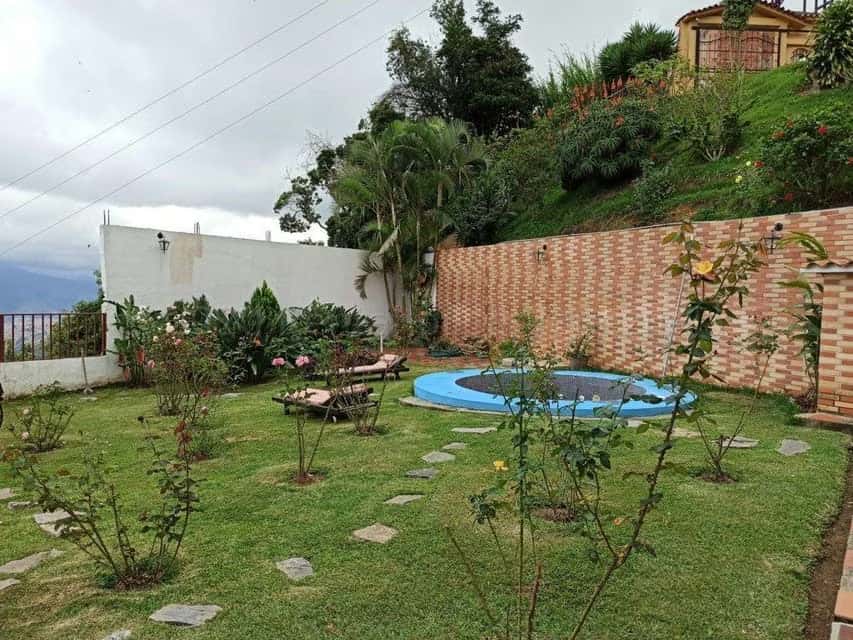 View 15