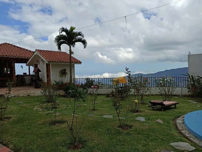 View 16