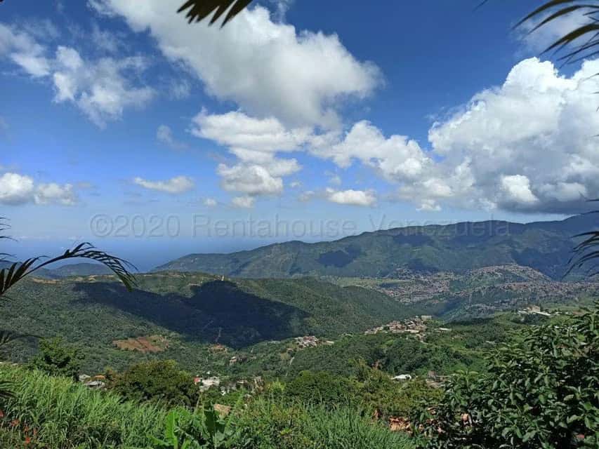 View 33