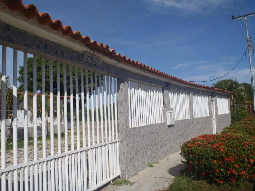 View 15