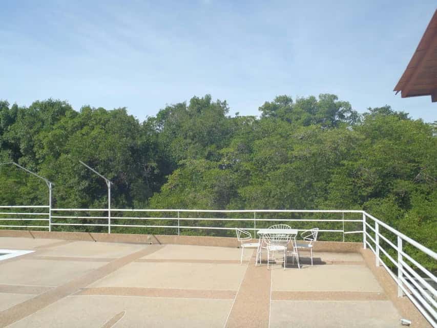 View 20