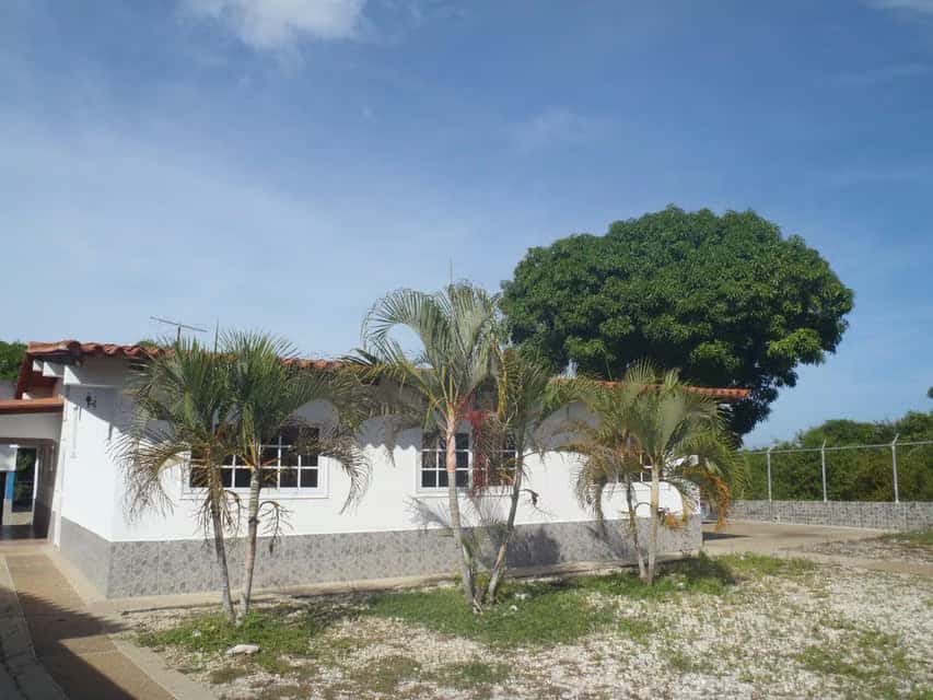 View 28