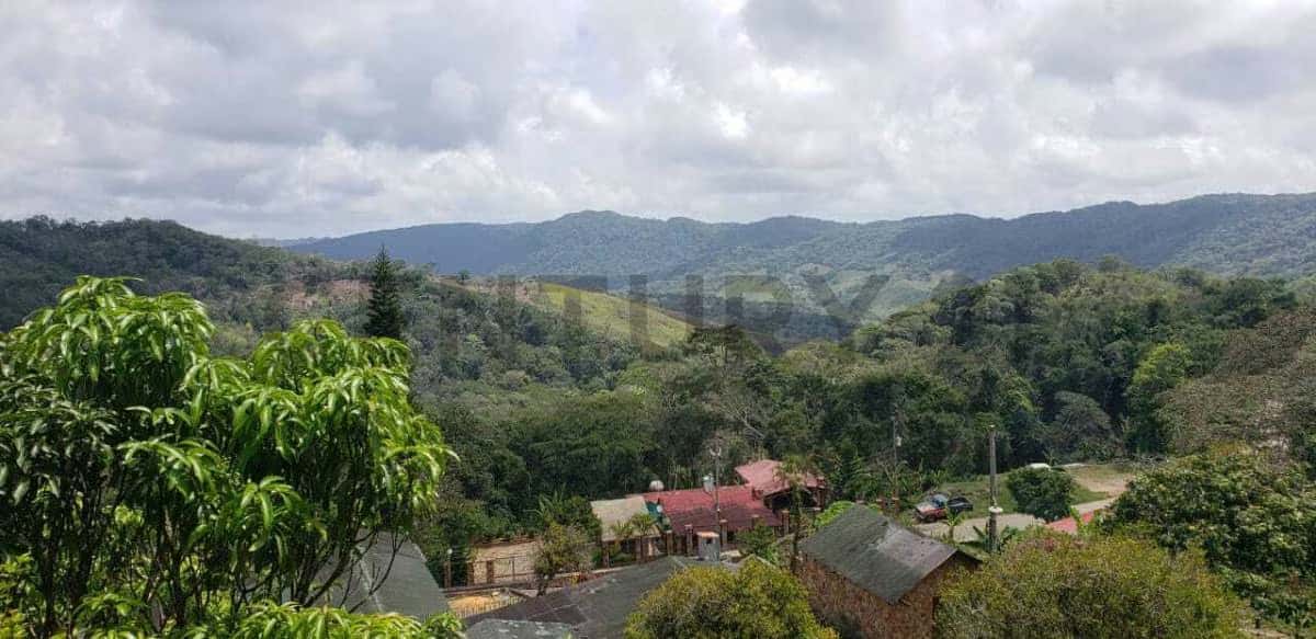 View 9
