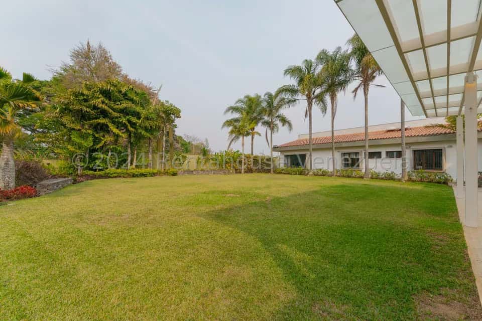 View 51