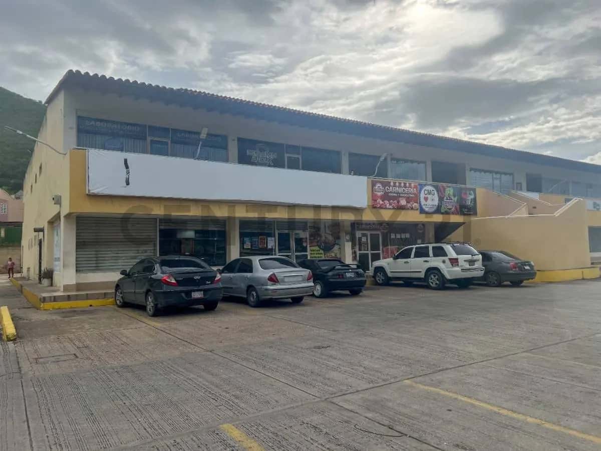 Vista 1