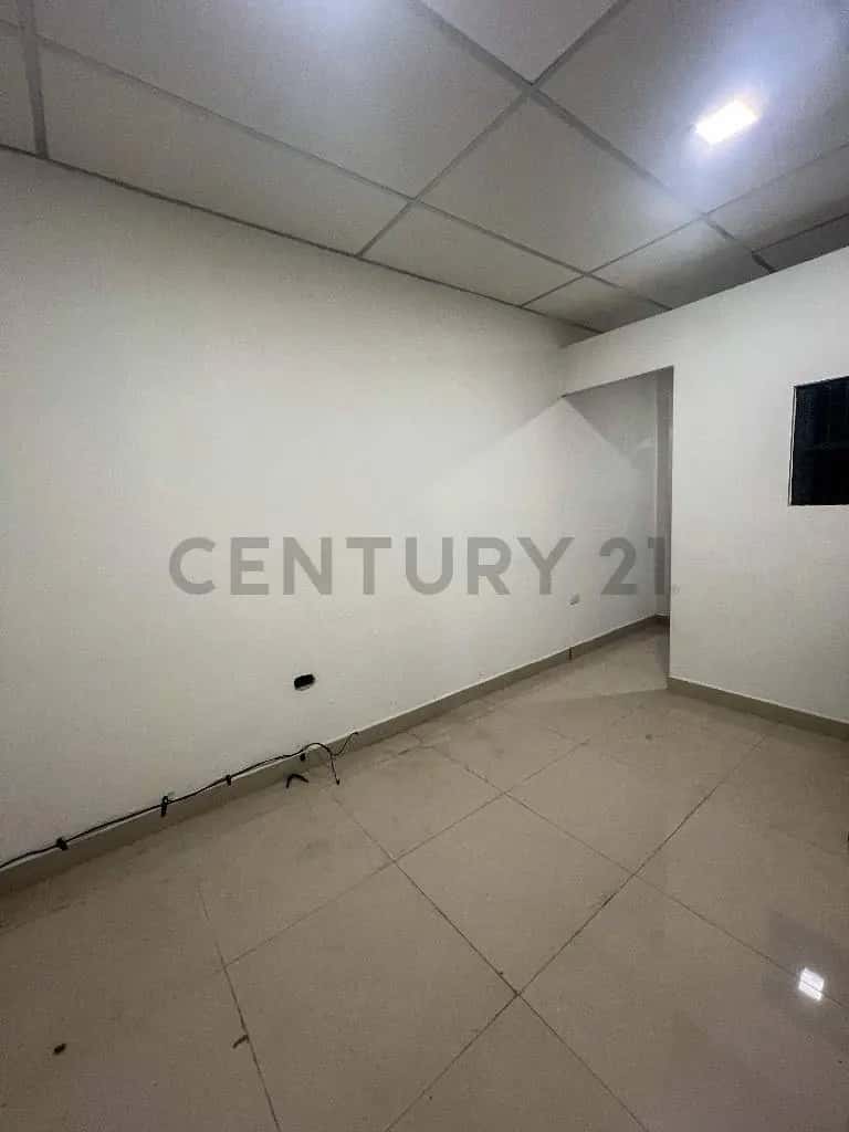Vista 3