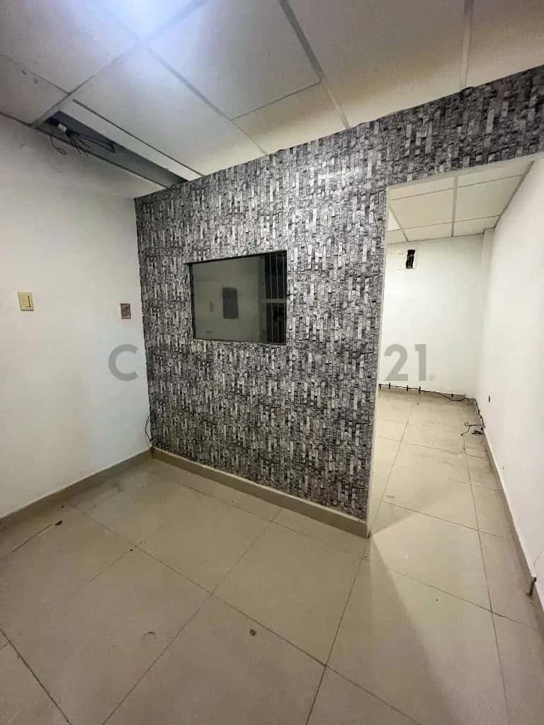 Vista 5