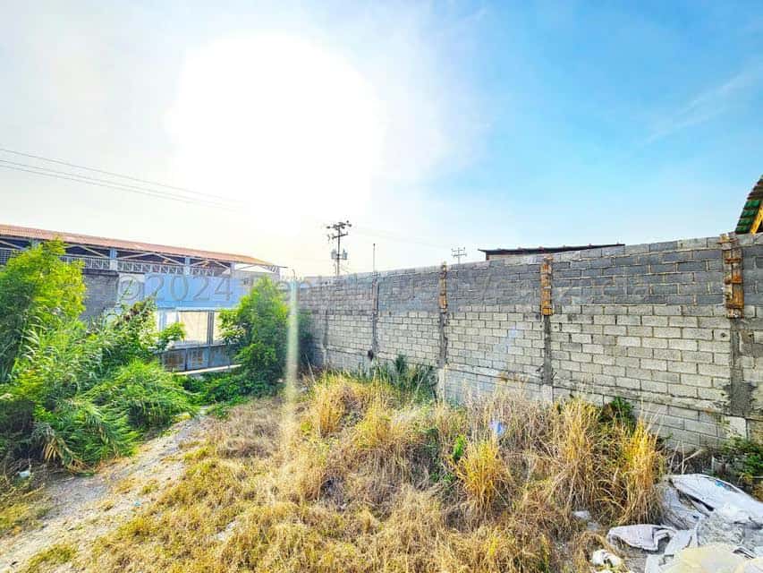 View 12
