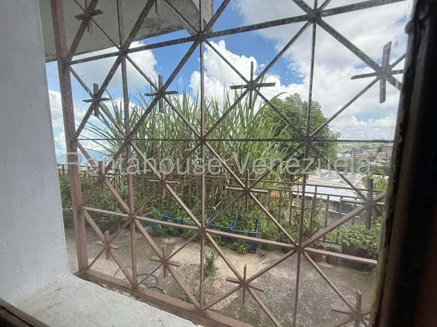 View 25