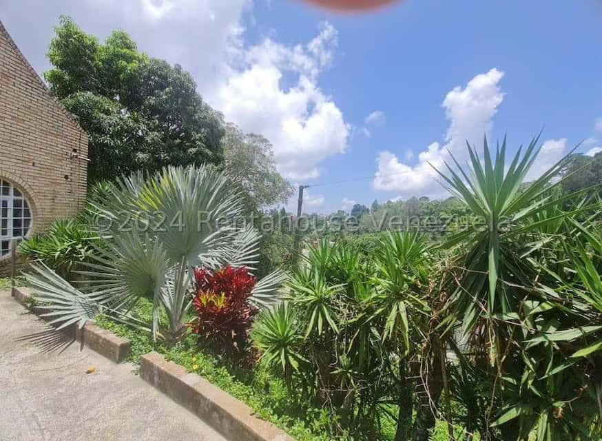 View 2