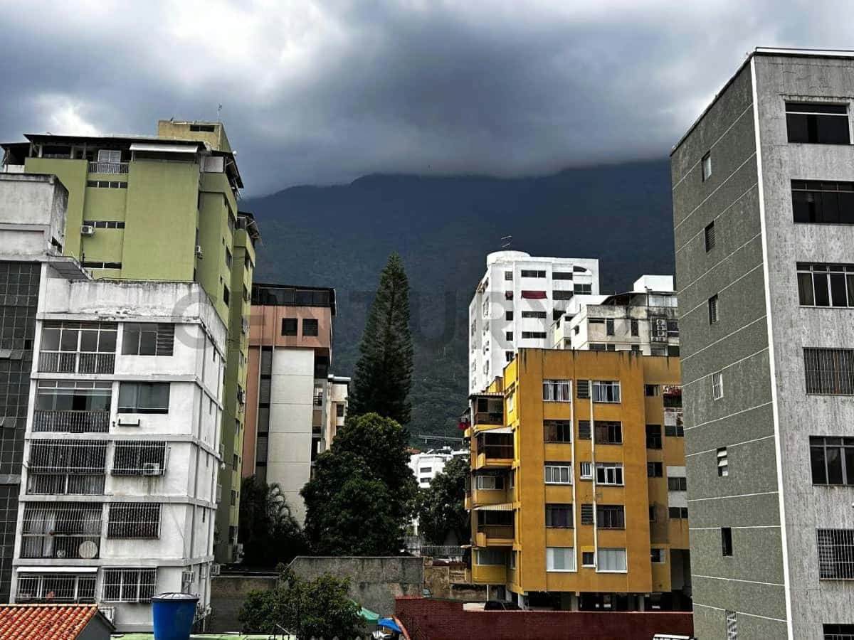 View 2